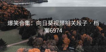 爆笑合集：向日葵视频相关段子 · 档案6974