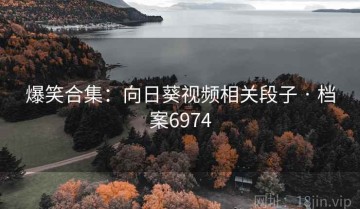 爆笑合集：向日葵视频相关段子 · 档案6974