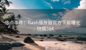 热点事件：flash播放器官方下载曝光 · 特辑384