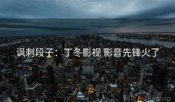 讽刺段子：丁冬影视 影音先锋火了