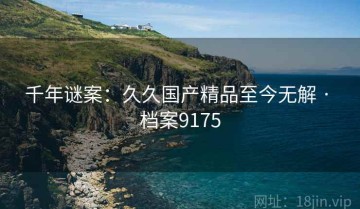 千年谜案：久久国产精品至今无解 · 档案9175