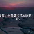 网友爆笑：向日葵视频成热梗 · 特辑6985