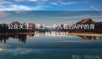 公众关注：晚上一个人看的APP的背后 · 档案5307