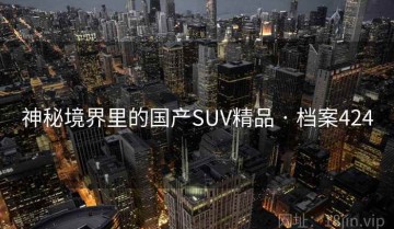 神秘境界里的国产SUV精品 · 档案424