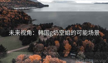 未来视角：韩国g奶空姐的可能场景