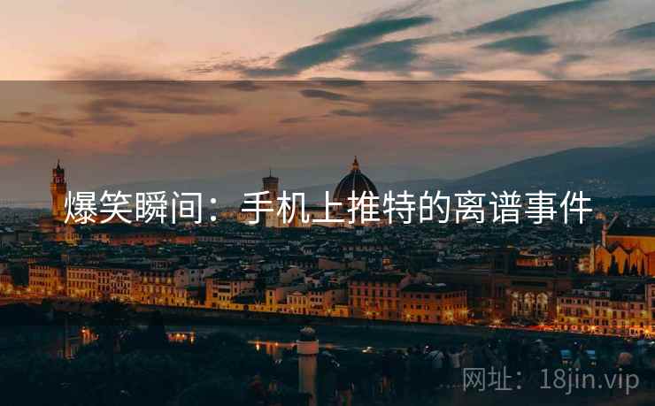 爆笑瞬间：手机上推特的离谱事件