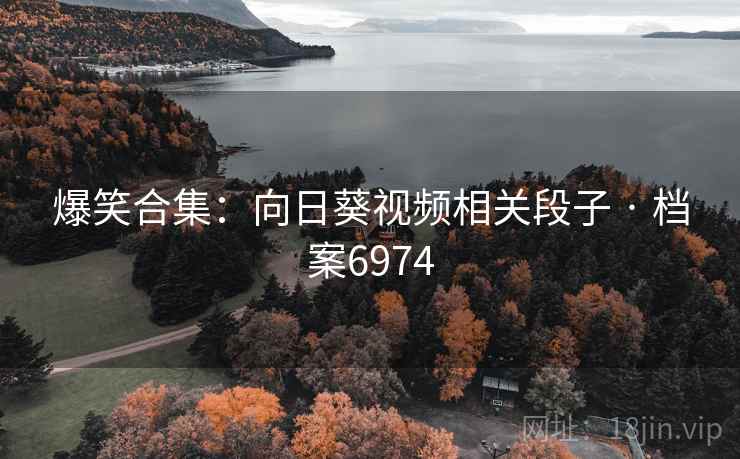 爆笑合集：向日葵视频相关段子 · 档案6974