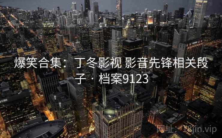 爆笑合集：丁冬影视 影音先锋相关段子 · 档案9123