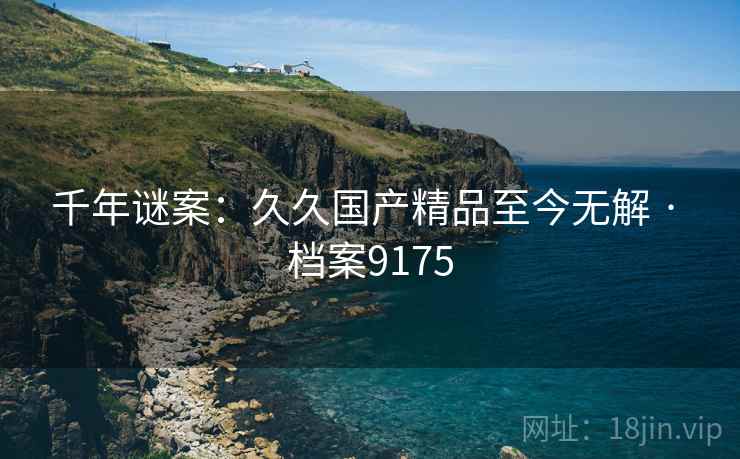 千年谜案：久久国产精品至今无解 · 档案9175