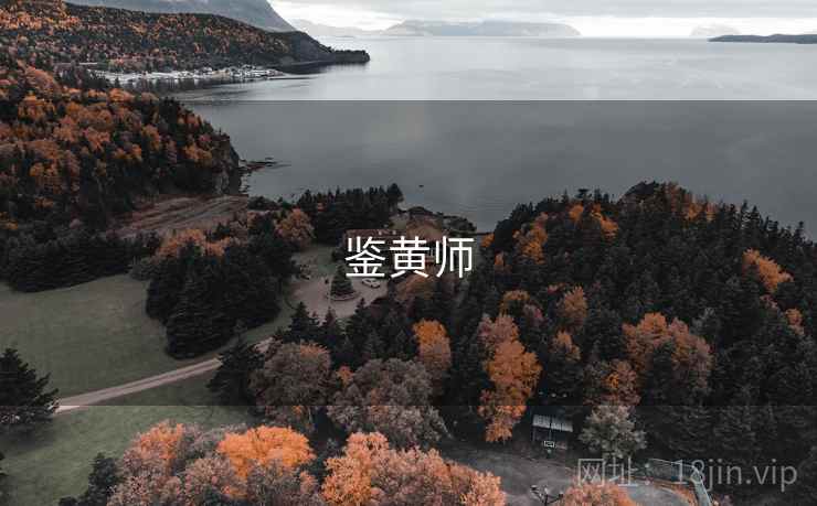 鉴黄师