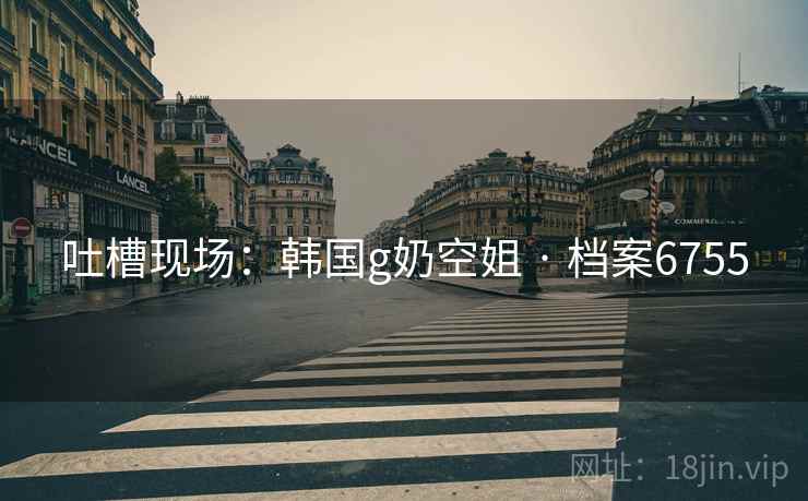 吐槽现场：韩国g奶空姐 · 档案6755