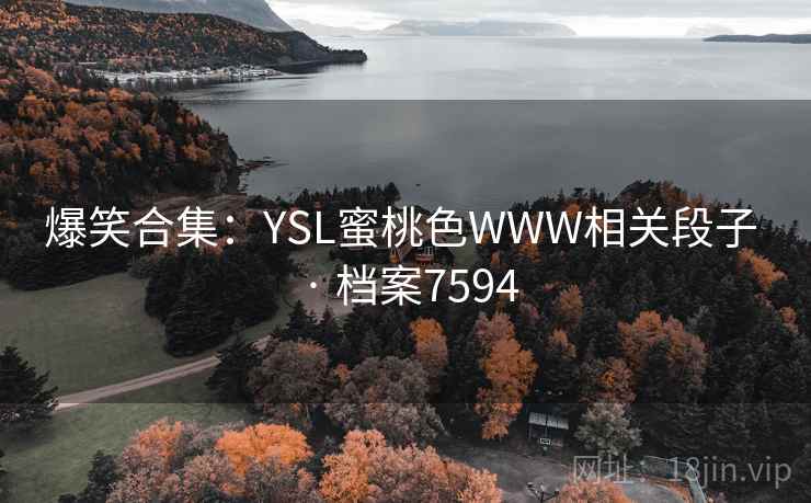 爆笑合集：YSL蜜桃色WWW相关段子 · 档案7594