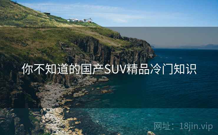 你不知道的国产SUV精品冷门知识 你不知道的国产SUV精品冷门知识