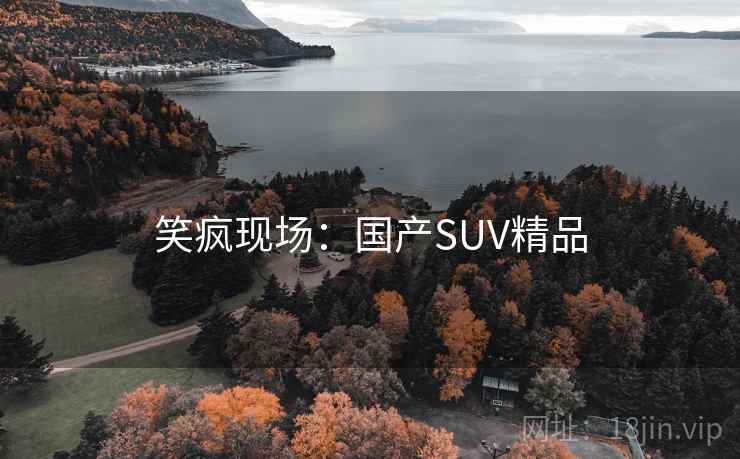 笑疯现场：国产SUV精品