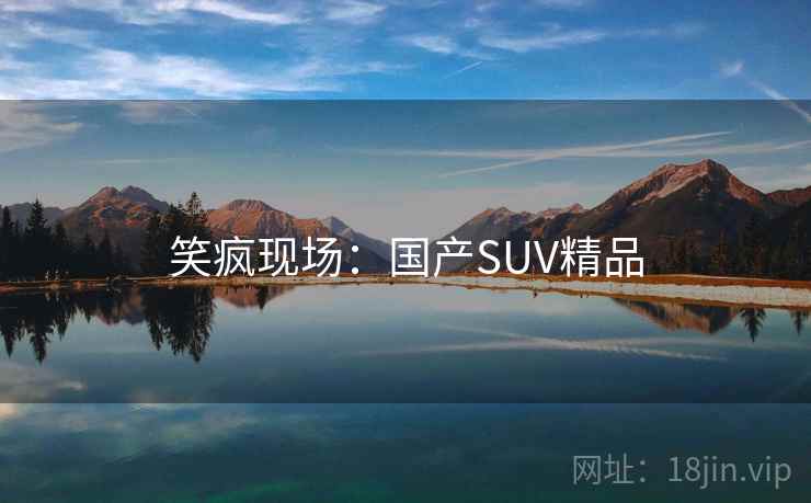 笑疯现场：国产SUV精品